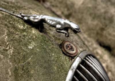 Jaguar Sports Car Rotten 1920x1280